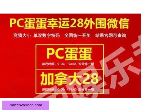 世界杯竞猜胜负技巧全解析助你提升投注技巧与命中率秘诀